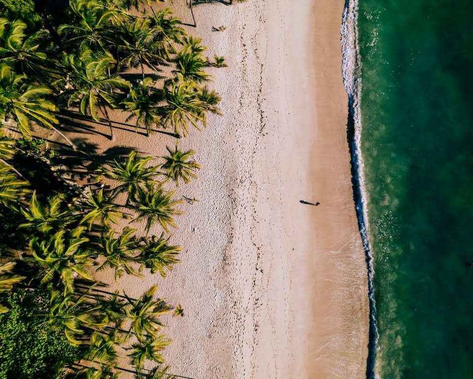 Aerial view of the secluded Tiwi Beach shoreline with palm trees and turquoise water near Coconut Beach Lodge. Diani beach vs. Tiwi beach.